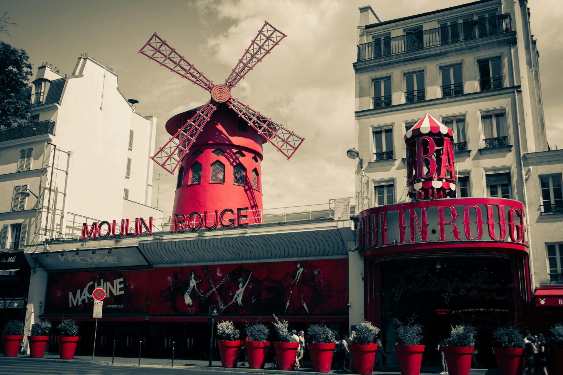 Why Learning French Is A Great Decision: 5 Reasons