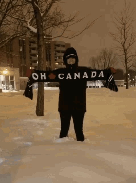 A person falling on his back on the snow pile - Why learning French is a great decision